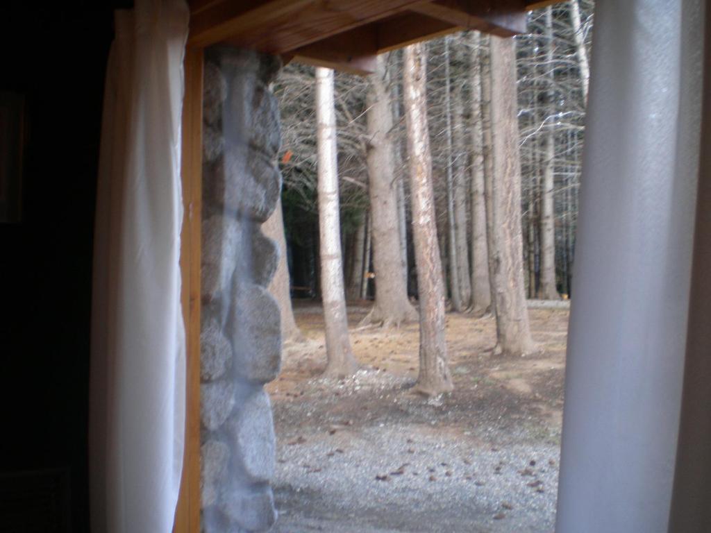 Готель Cabanas Le Pommier Вілья-Ла-Ангостура Номер фото